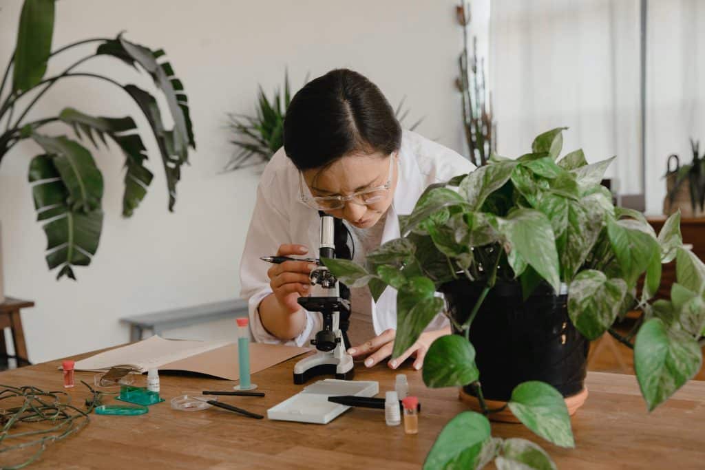 Female biology student in a lab coat examining a specimen under a microscope surrounded by plants and lab tools