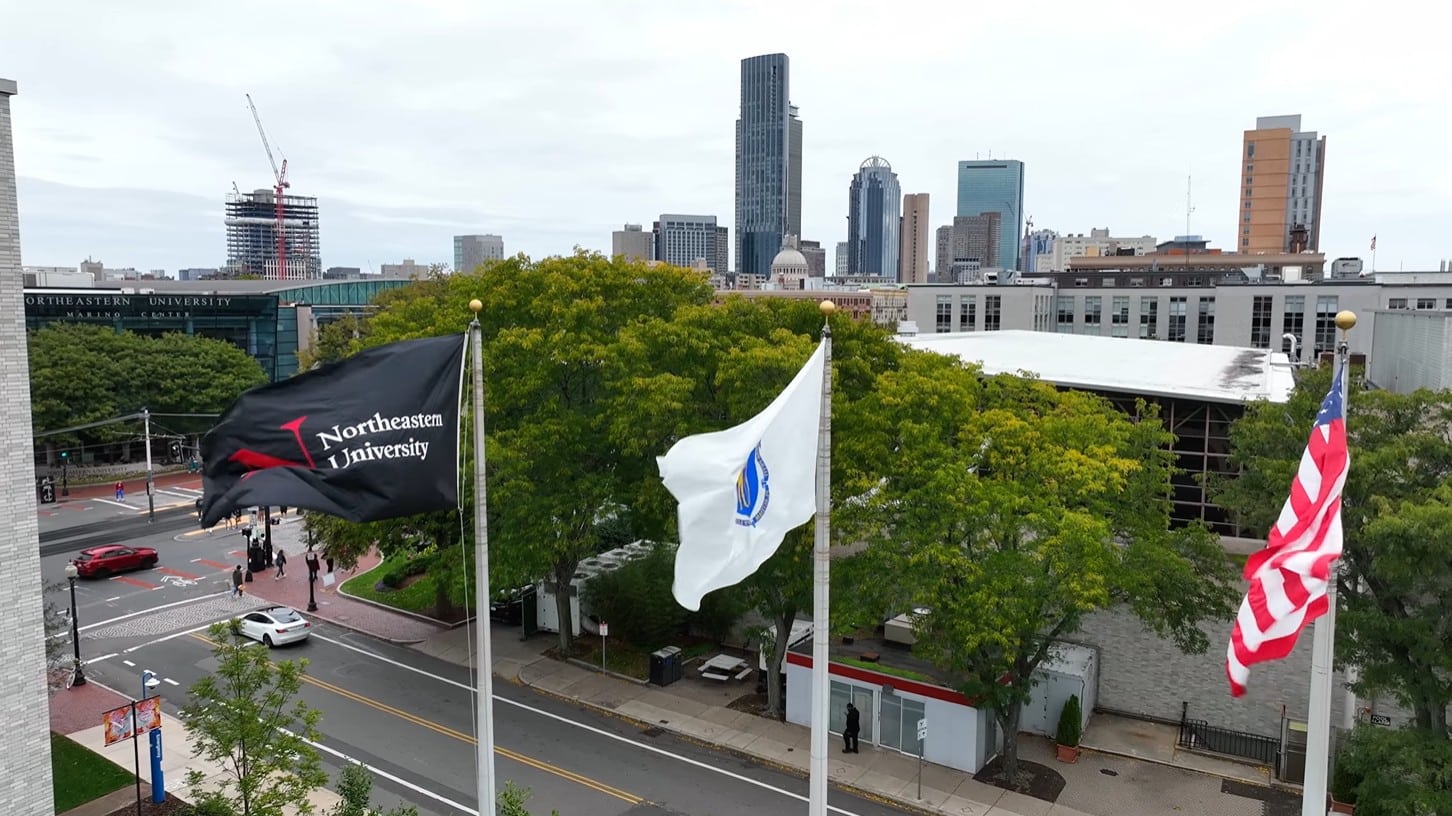 Northeastern University flags